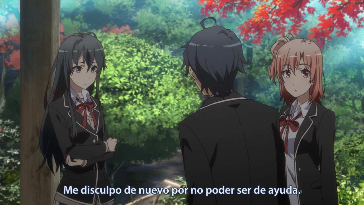 Yahari Ore no Seishun Love Comedy wa Machigatteiru. Zoku (Yoru no Kousen)